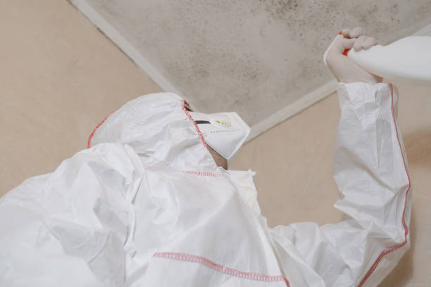 Best Commercial Mold Removal  in Alliance, OH